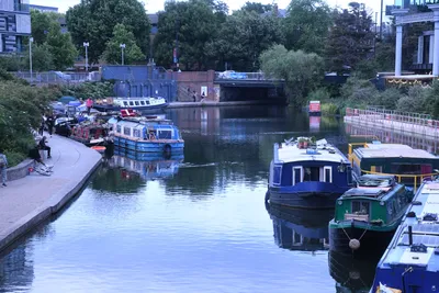 DSC_1597 (Large).JPG